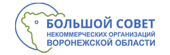 Большой совет некоммерческих организаций Воронежской области